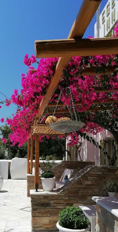 Aegeo Inn Antiparos Town Eksteriør bilde